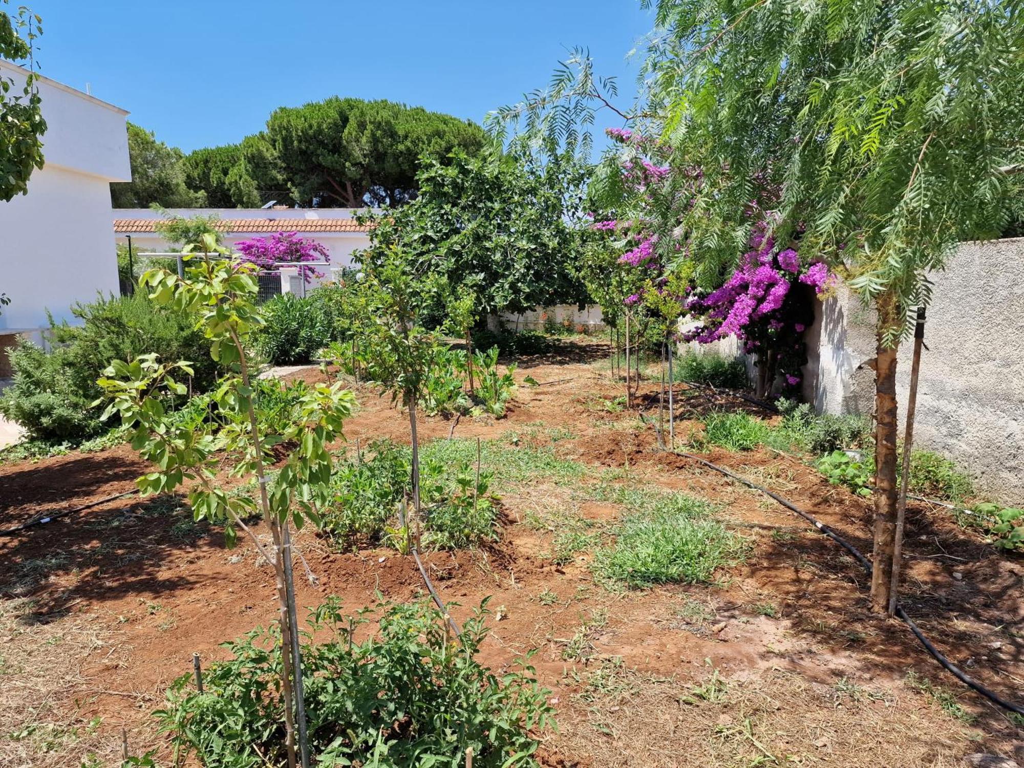 Villa Carmela A San Pietro In Bevagna Extérieur photo
